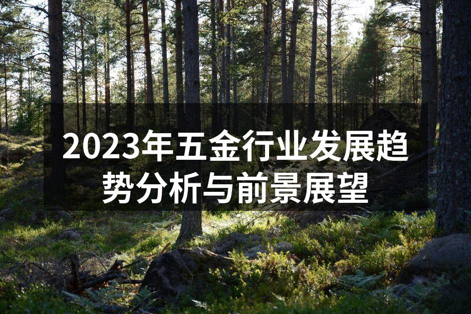 2023年五金行业发展趋势分析与前景展望